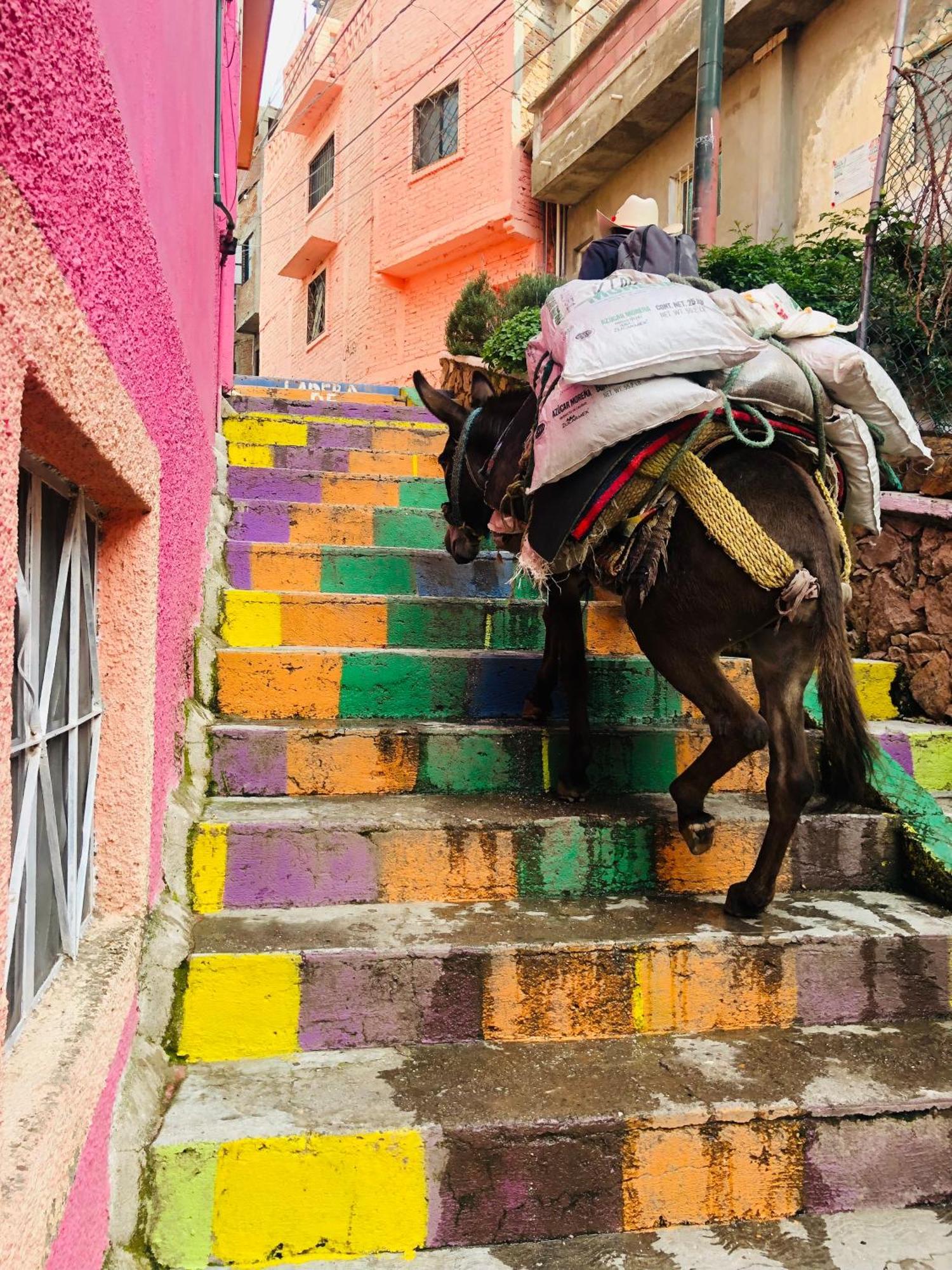 Home Sweet Home Guanajuato Luaran gambar