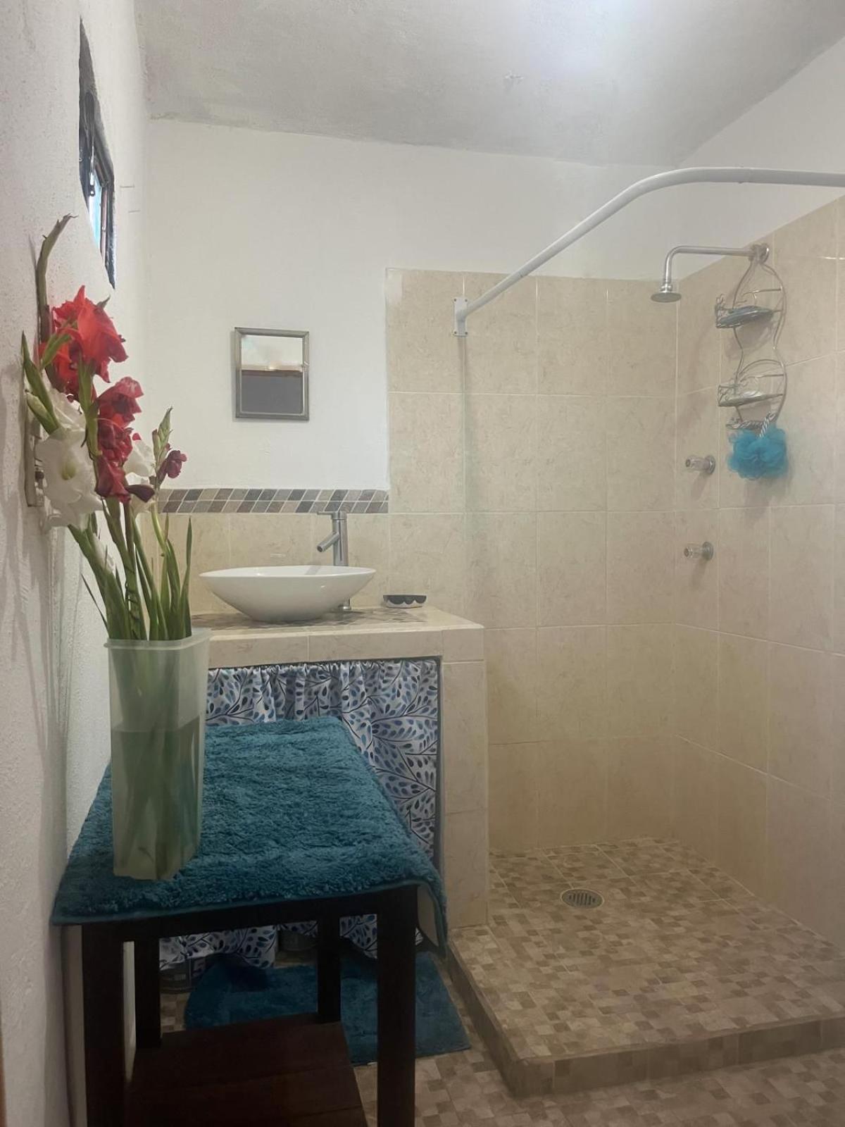 Home Sweet Home Guanajuato Luaran gambar